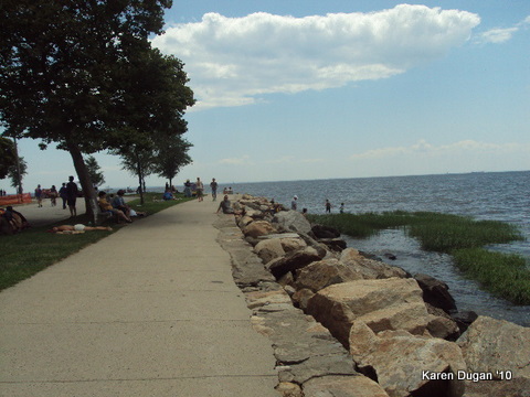 The Beautiful Festival Grounds