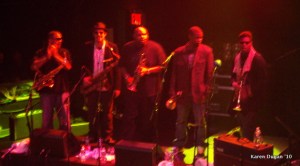 Set III: Shady Horns + some!!