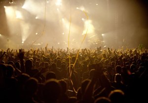 Photo by Dave Vann (2010)