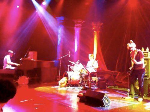 Lions, and Tigers and Bears!