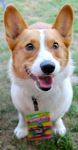 This guy made sure you had your rager pass before you were let backstage ;) 