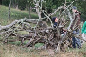 You can't help but feel wonderfully isolated and country-fried at Barefoot! 